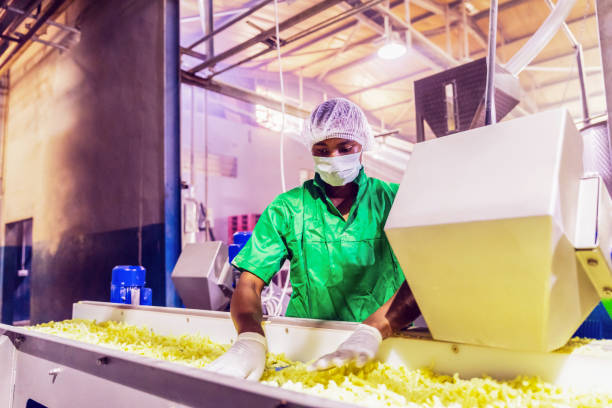 Banda Dairy Processing Limited